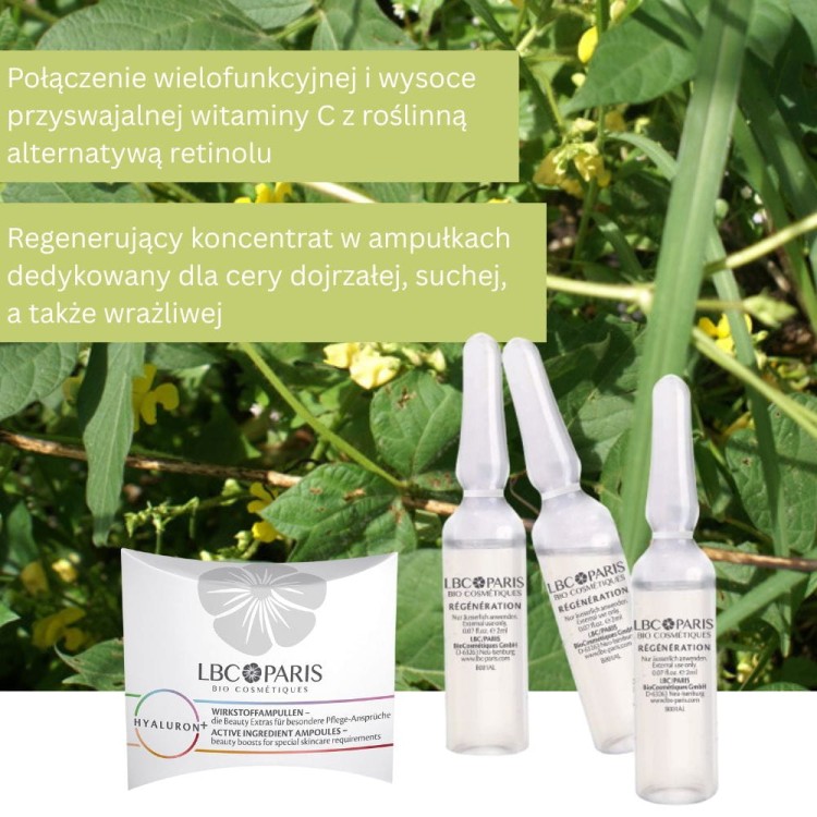 LBC/Paris Hyaluron+ Régénération - Ampułki regenerujące 3x2ml
