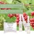 LBC/Paris Hyaluron + Contour Lift - Ampułki liftingujące 3x2ml