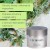 LBC/Paris Essentielle - Krem balansujący 50ml