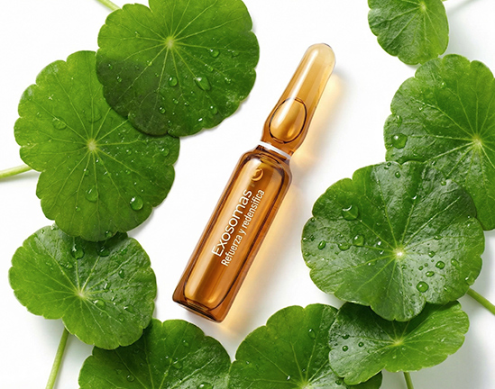 Armonia Exosomas Centella Asiática Ampoules - Ampułka odmładzająco -ujędrniająca z egzosomami CICA